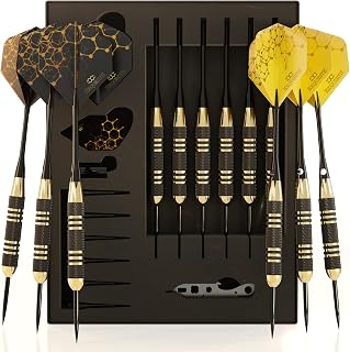 CC-EXQUISITE Steel Tip Darts Set - 22g Brass Barrels, Customizable with 12 Aluminum Shafts, Flights, O-Rings, Tool, Sharpener & Case