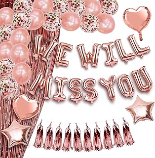 Farewell Decorations Party Going Away Party Decorations for Coworker We Will Miss You Decorations We Will Miss You Balloon Banner Goodbye Party Decorations Farewell Banner Bon voyage Party Decorations