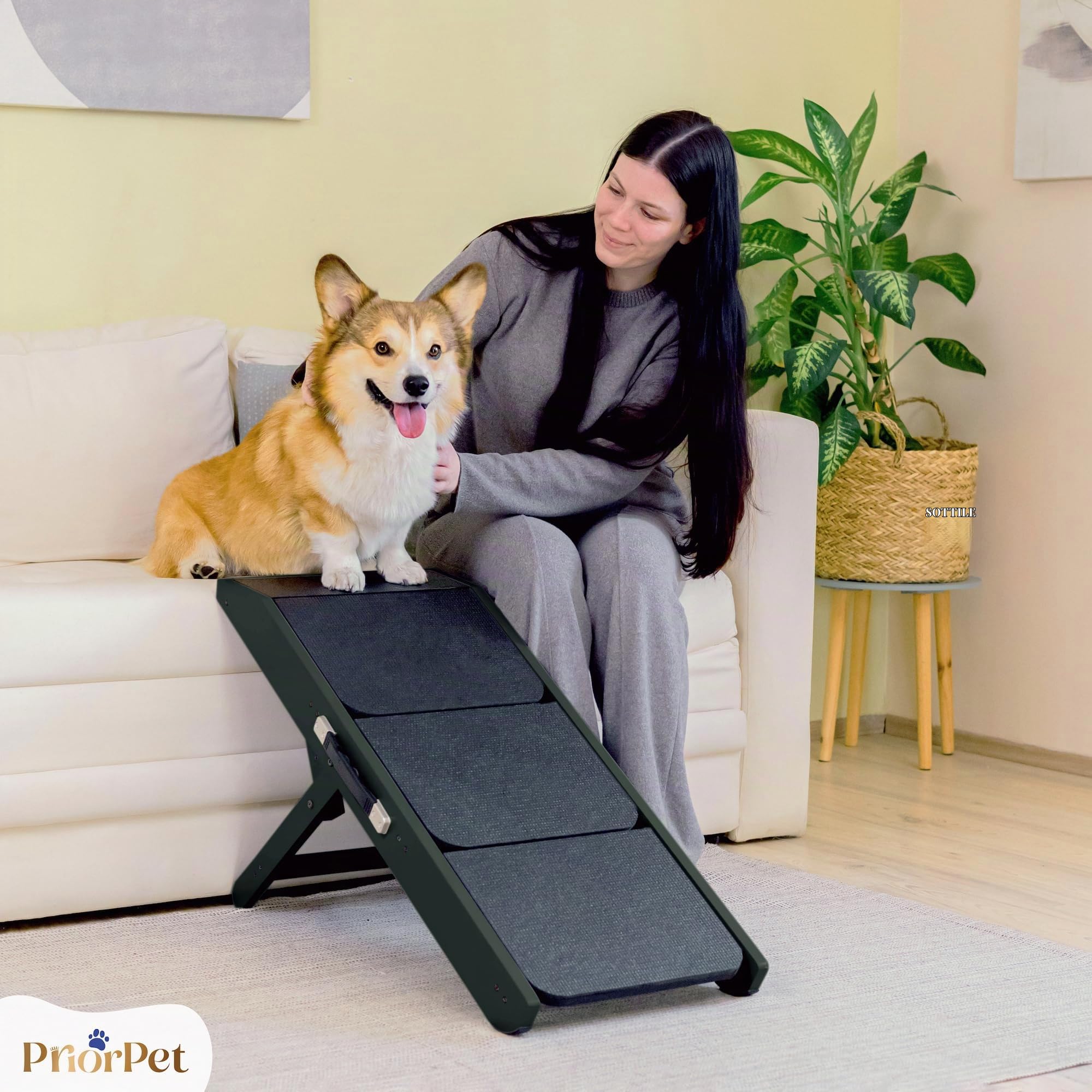 Scale per Cane 2 in 1 con Rampa Altezza Regolabile 18-50 cm Pet Gradini Piccoli Facile da Spostare Nero