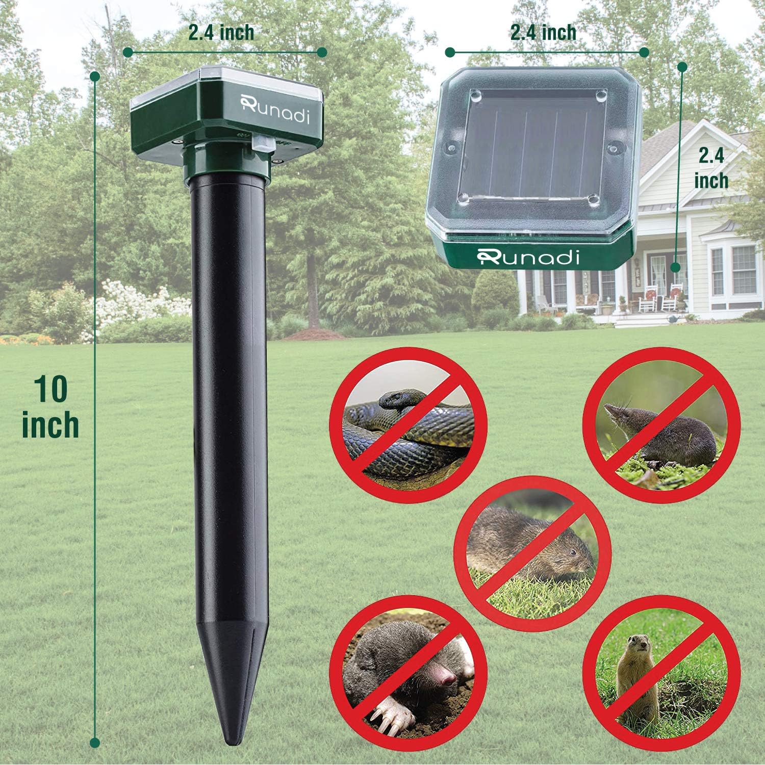 HOMELITE RYOBI 313318001 Genuine Arborless Trimmer Head Assembl Replaces Also Used ON RIDGID Troy-BILT Echo Powerstroke Workforce BLACKMAX : Patio, Lawn & Garden