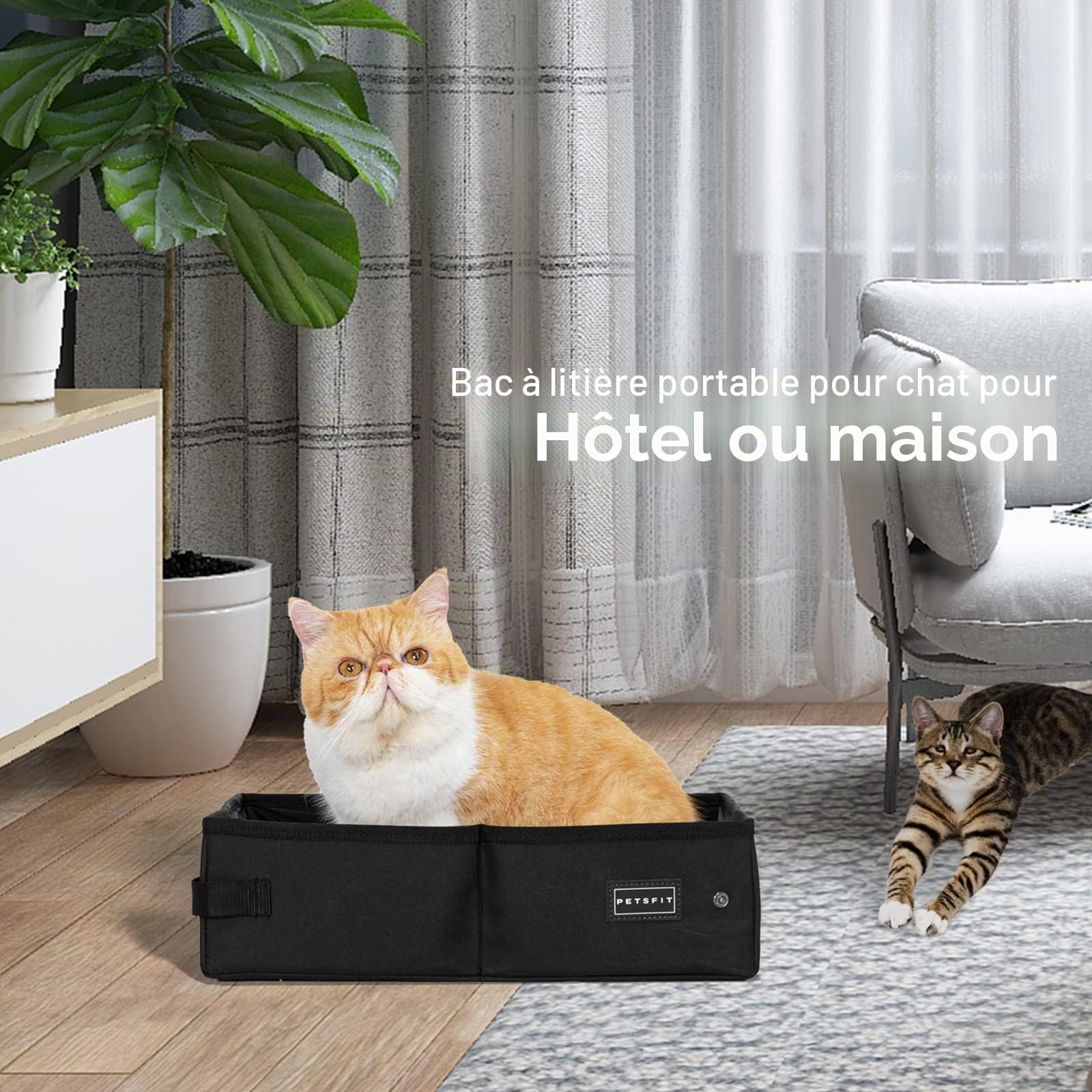 Petsfit Portable Litiere de Voyage pour Chat Pliable, Super étanche, Robuste et Durable, Lavable Bac à Litière transportable Chat pour Maison, Hôtel, Camping,XL Voiture, Bureau