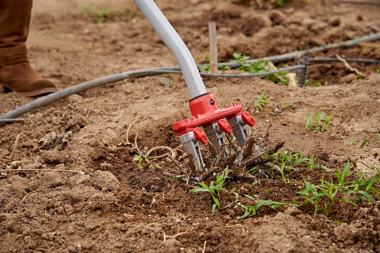 Corona LG 3634 DiscCULTIVATOR Garden Disc Cultivator, Red