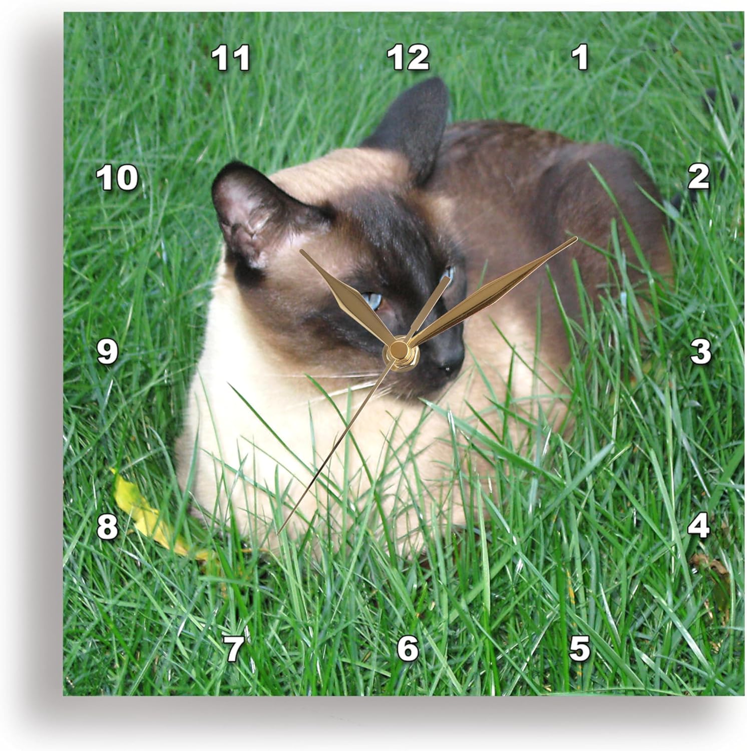 3dRose Wall Clock Silent - 15 inch - Siamese Cat - Cats
