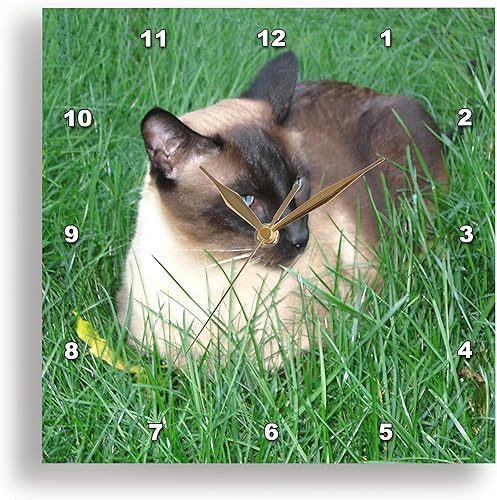dpp _ 4496gatosgato siamésrelojes de pared
