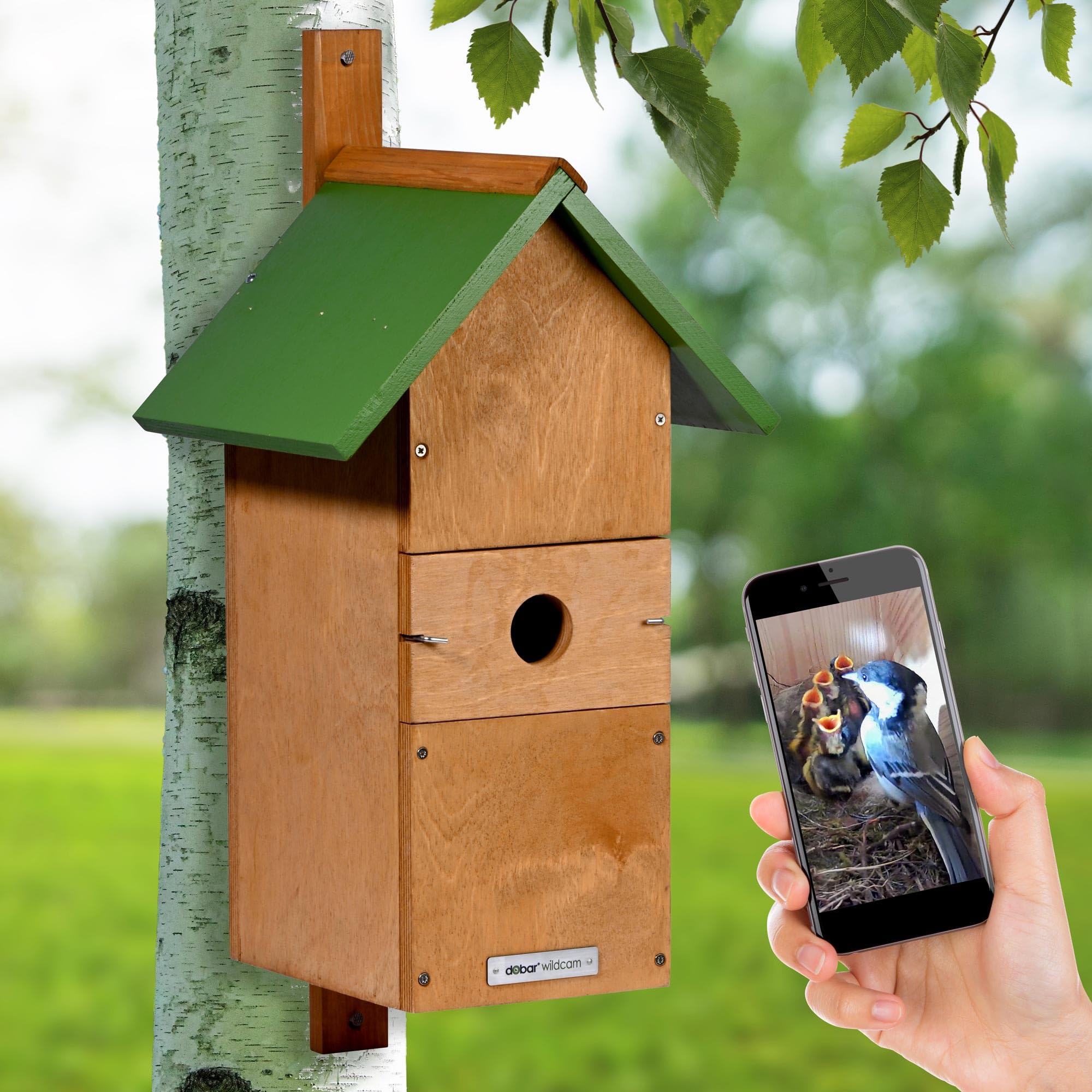 dobar® Großer Nistkasten Spitzdach aus Holz inklusive HD WiFi-Kamera und App mit austauschbaren Einfluglöchern - 25,5 x 22,5 x 53 cm - Grün-Braun