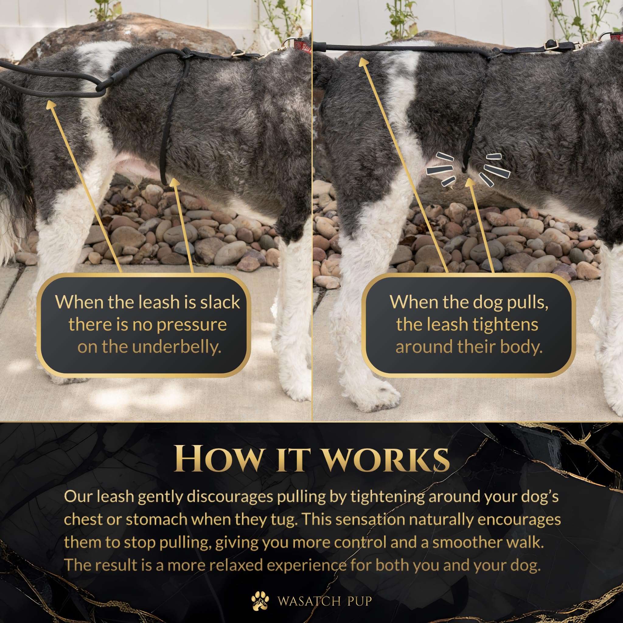 Correa de perro manos libres sin tirones, correa de entrenamiento ajustable duradera para perros, correa de actividad al aire libre Calm Command para razas activas de estilo de vida de