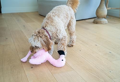 Miniatura 7 de Flourish FBA Pets - Juguete masticable para perros con BPA no tóxico, tela suave de doble costura exterior chirriante indestructible juguete para