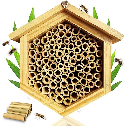 Molly & Nemo Mason Bee House,Handmade Natural Wooden Bee Hive,Hexagon Bee Box with Bamboo Tubes,Waterproof and Long Service Life