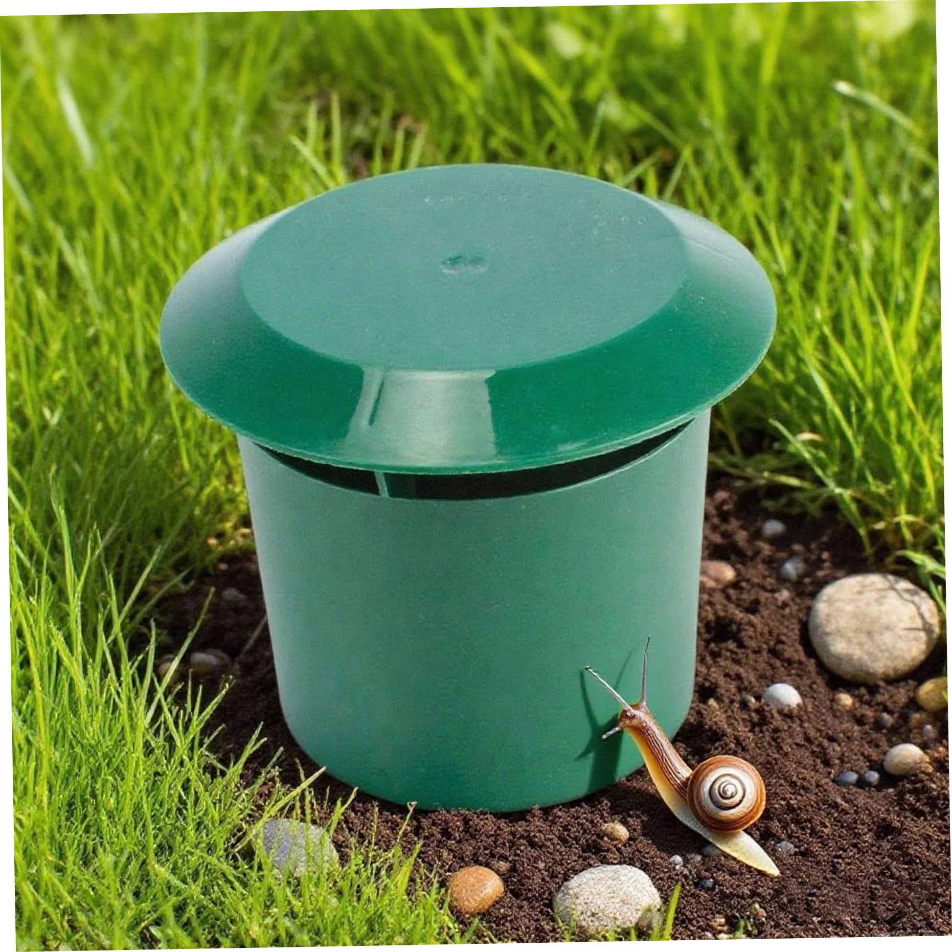 Trappola per lumache, Confezione da 12 contenitori in plastica PP per Prato da Giardino