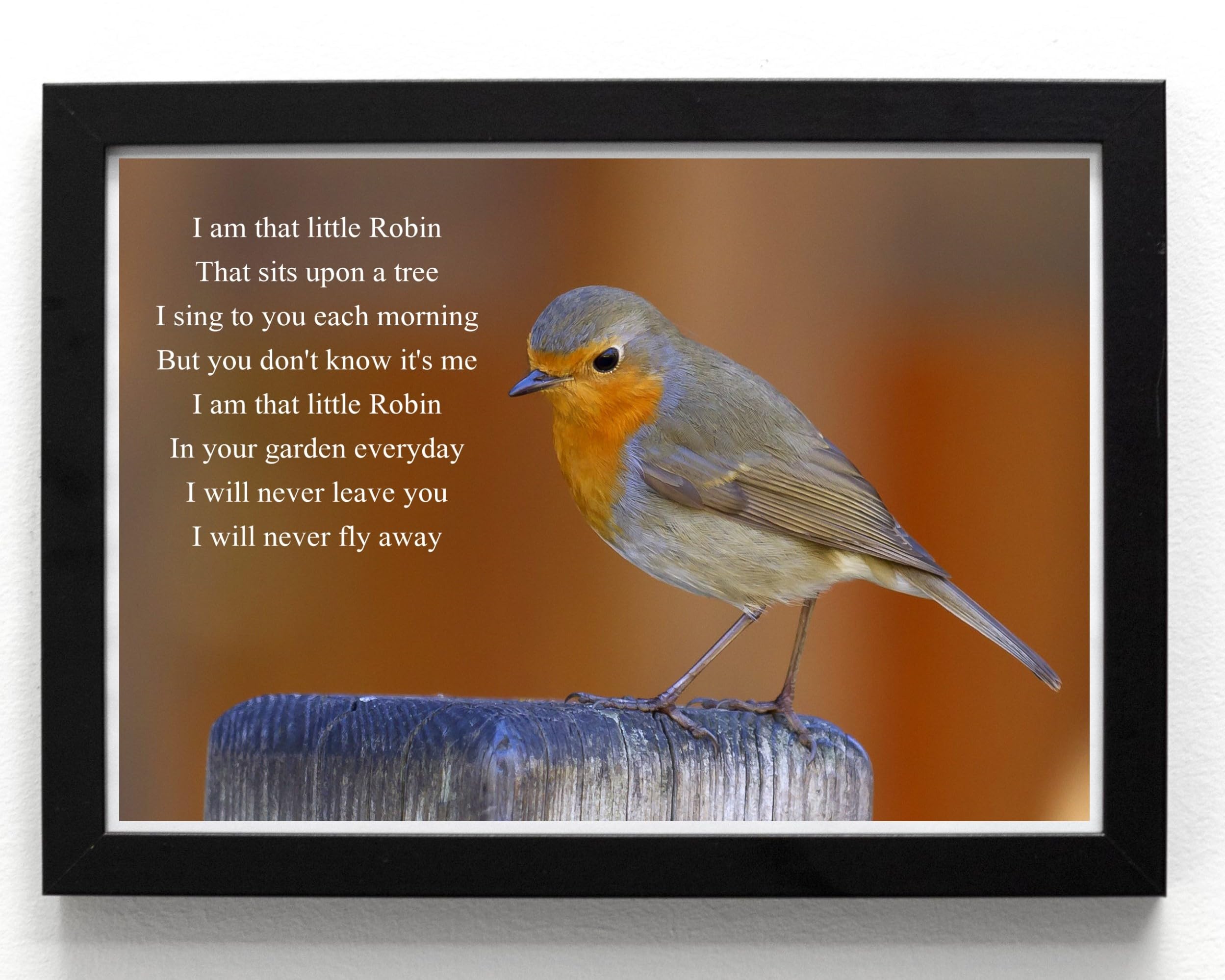 Charming Robin Art Print A5 FRAMED - verse from a passed loved one, Multi, 21L x 16W cm