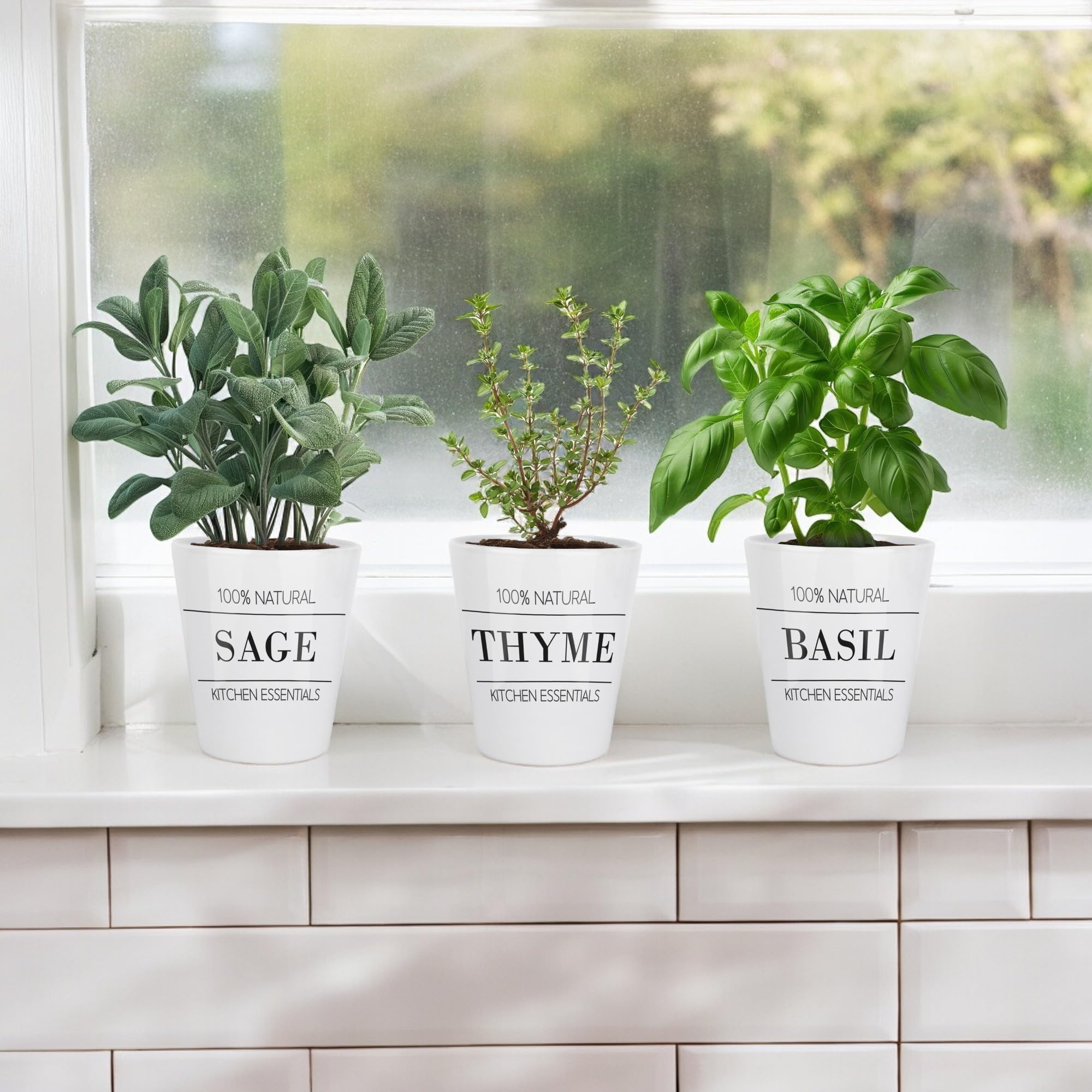 Purely Home Minimalist Parsley Plant Pot, Cooking Ingredients Small Ceramic Indoor Plant Pot with Drainage Hole - Image 2