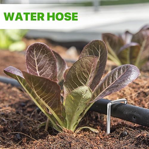 Miniatura 5 de 50 grapas de jardín de 5 pulgadas, estacas galvanizadas de calibre 12, pasadores de césped resistentes para vallas, césped, barreras de malezas y