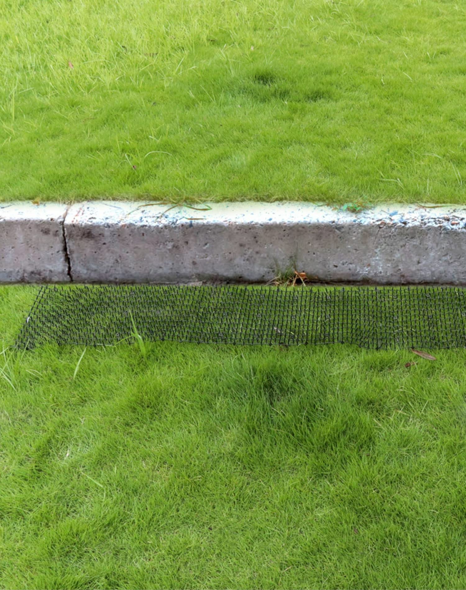 QWORK® 2-pakowa mata odstraszająca koty - 200 cm x 30 cm - siatka kolczasta z barierą dla zwierząt do pokojowego odstraszania kotów i innych zwierząt