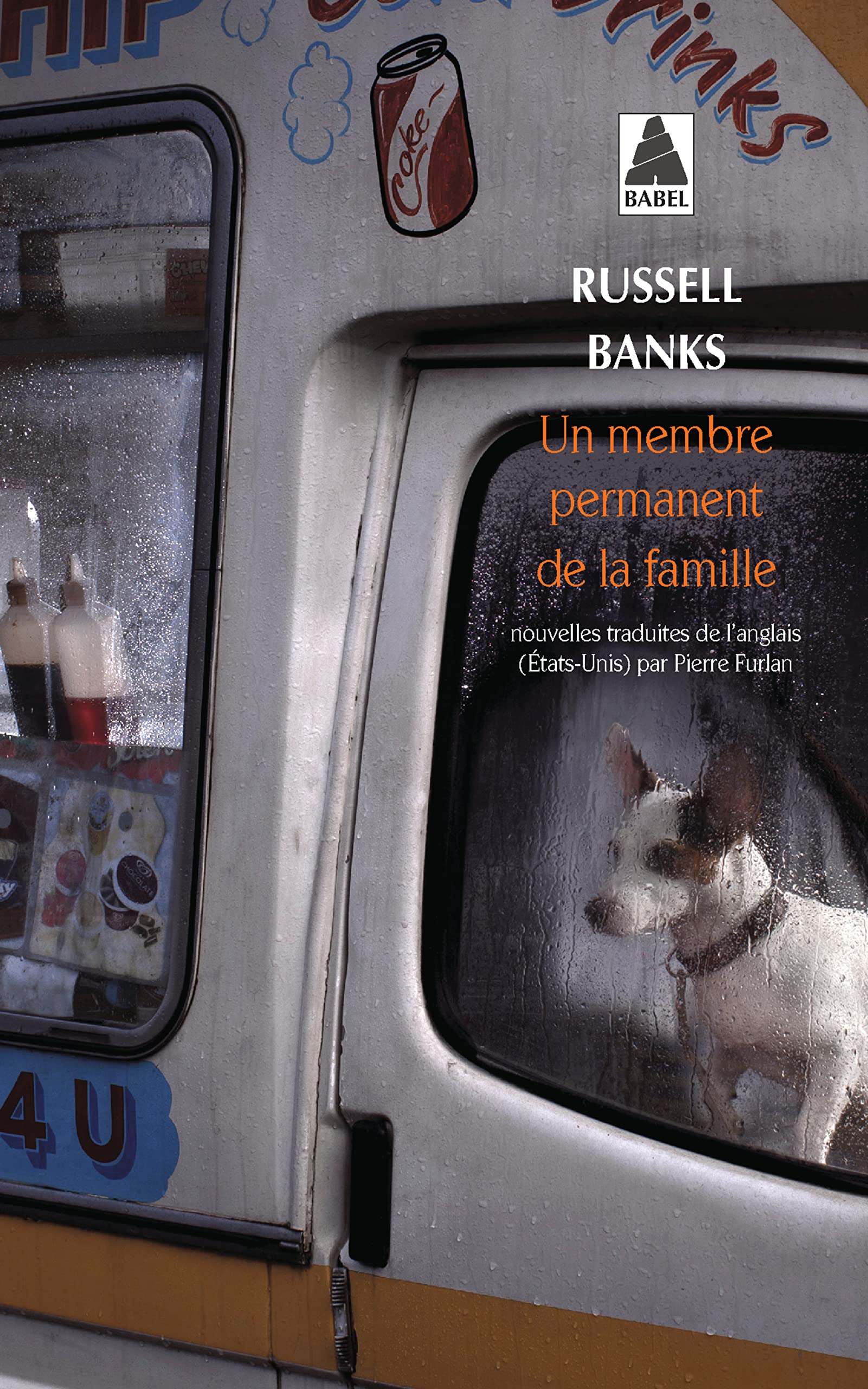 Un membre permanent de la famille (Lettres anglo-américaines) (French Edition)