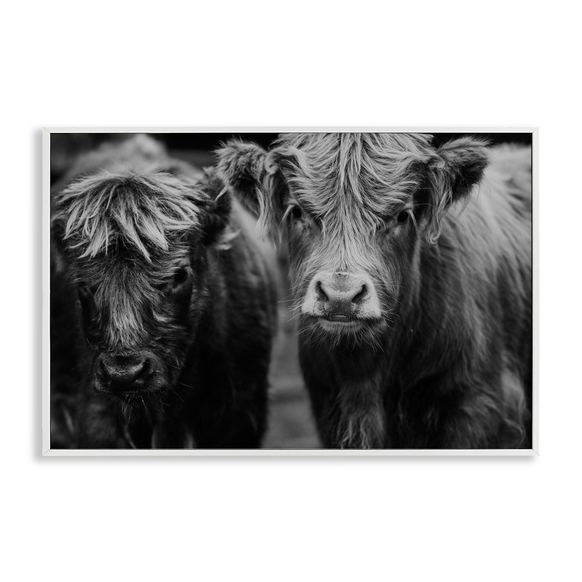 Stupell Industries Cow Faces on Farm White Framed Giclee Art, design by Amy Carroll, 20 x 30