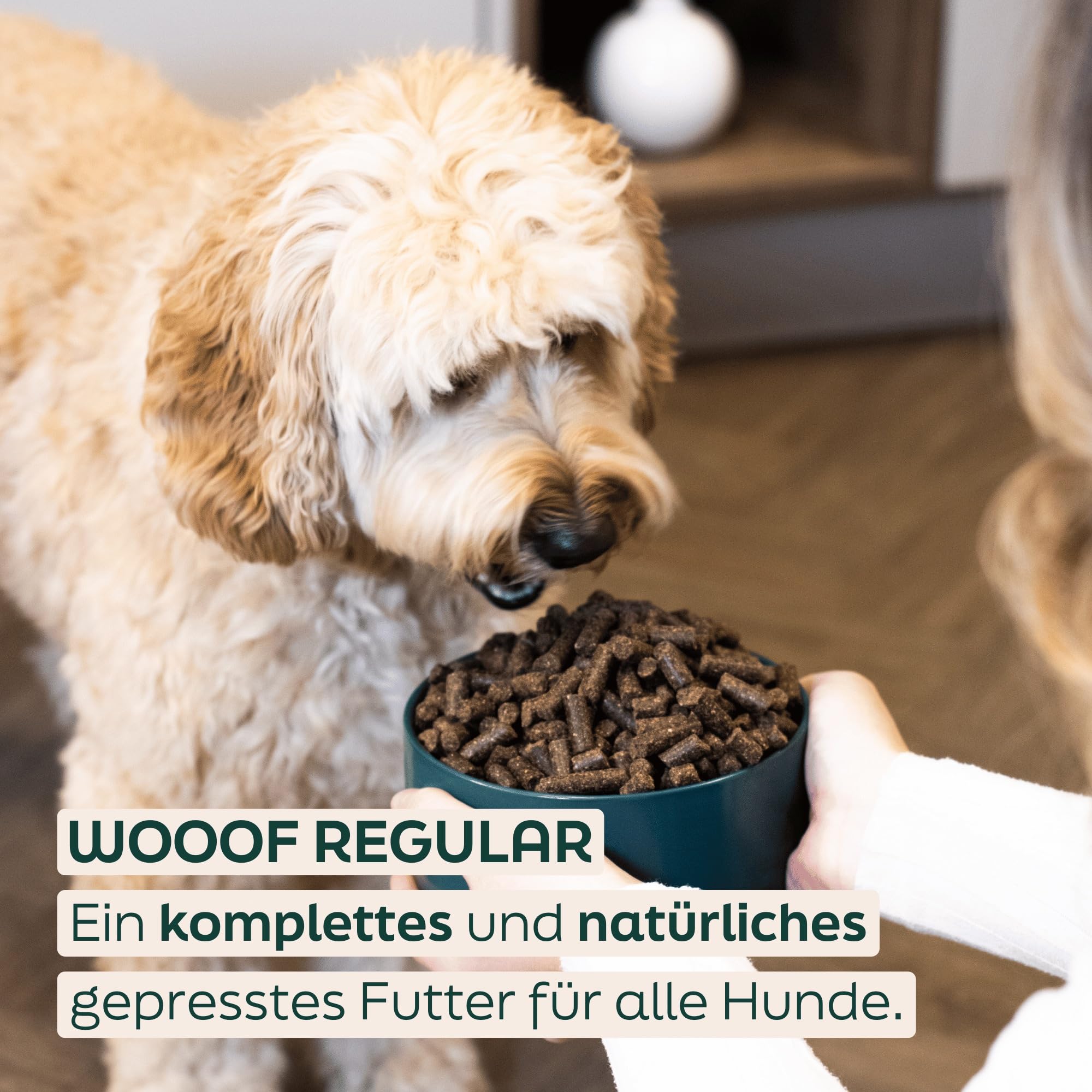 Regular 36kg kaltgepresstes Hundefutter mit Rindfleisch | Trockenfutter, natürliche Zutaten, leicht verdaulich, ohne Weizengluten