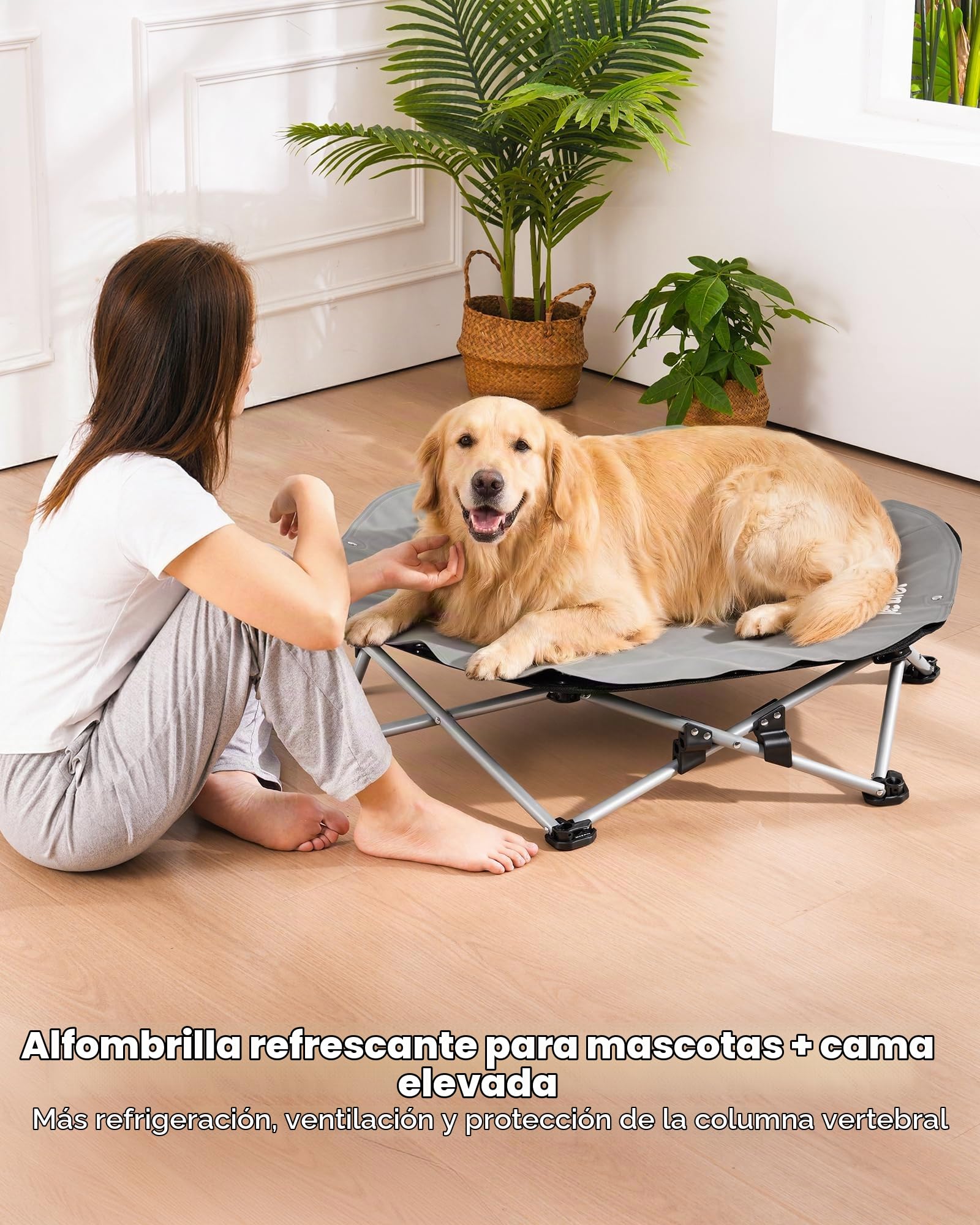 Pecute Cama Elevada para Perros Grande con Manta Refrescante, Sin Montaje, Apto para Gatos y Perros, Plegable para Interior y Camping, Tamaño XL, Soporta hasta 60kg, Gris