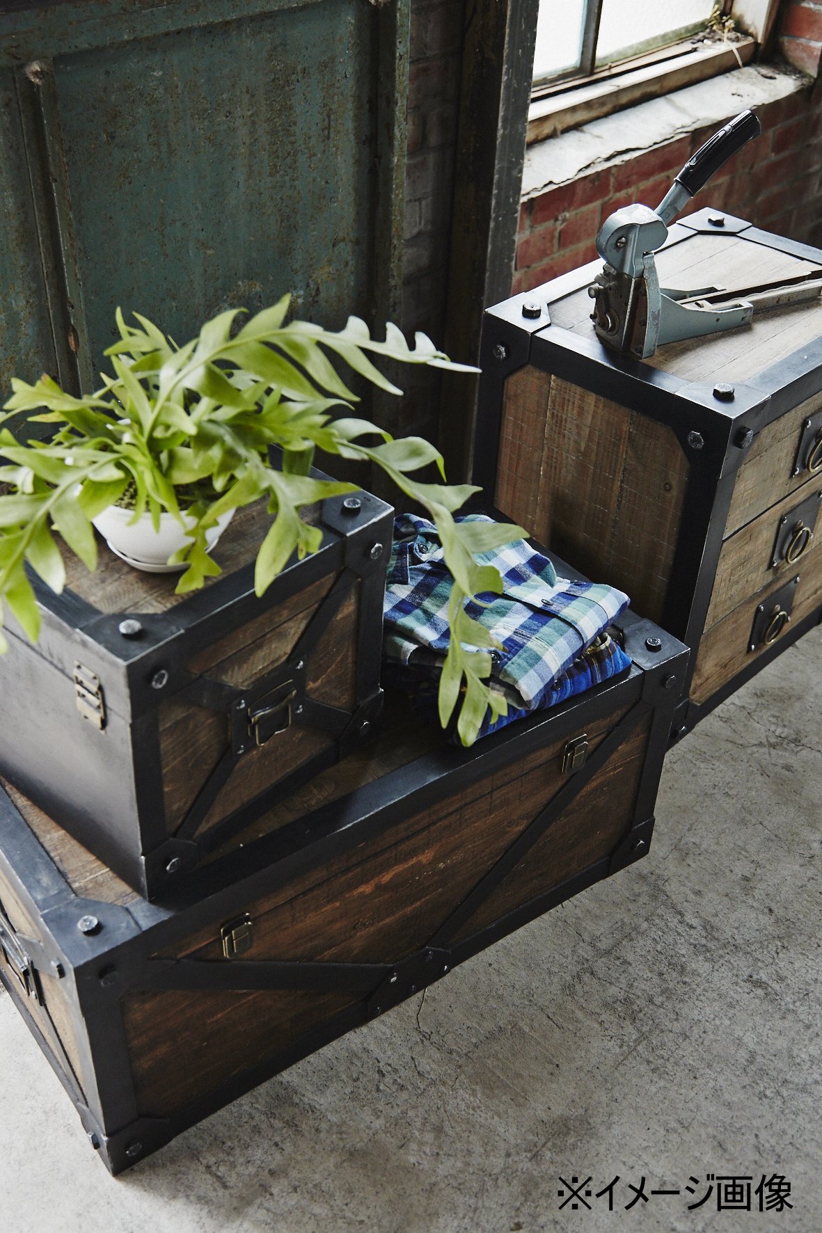 Amazon.co.jp: AZUMAYA トロール トランクSサイズ IW-981 : ホーム