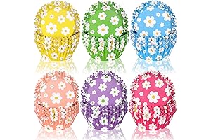 Whaline Bright and Bold Cupcake Liners 600-Pack