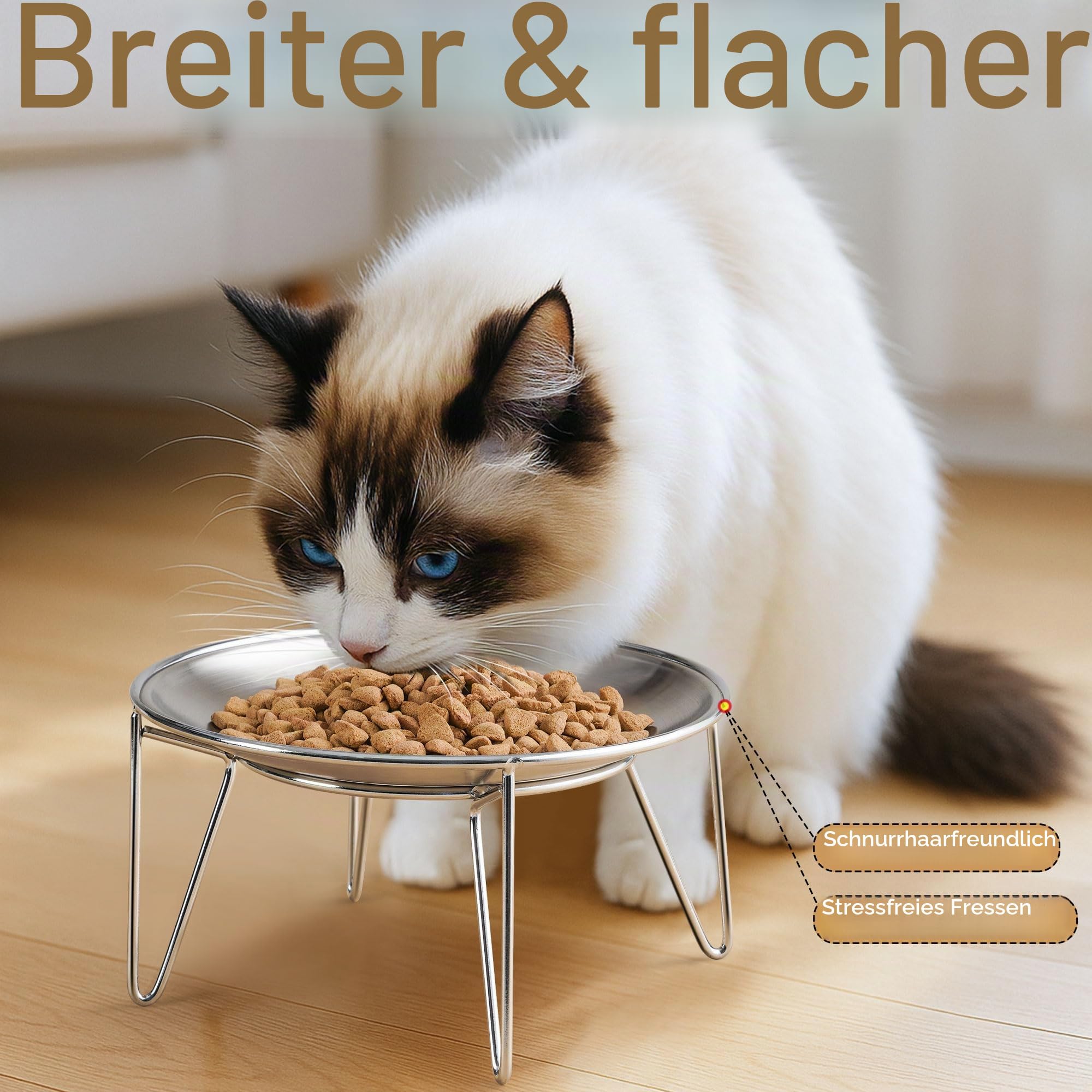 Erhöhter Edelstahl-Katzennapf, Angenehm für die Schnurrhaare | Flaches Design, ideal für Trocken- und Nassfutter, spülmaschinenfest, leicht zu reinigen