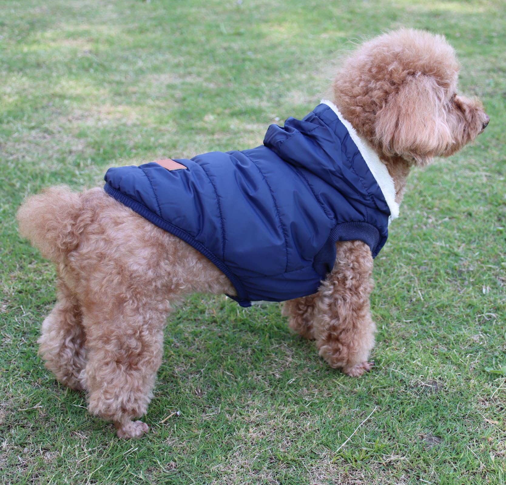JoyDaog Sweat à capuche en polaire et coton pour chien