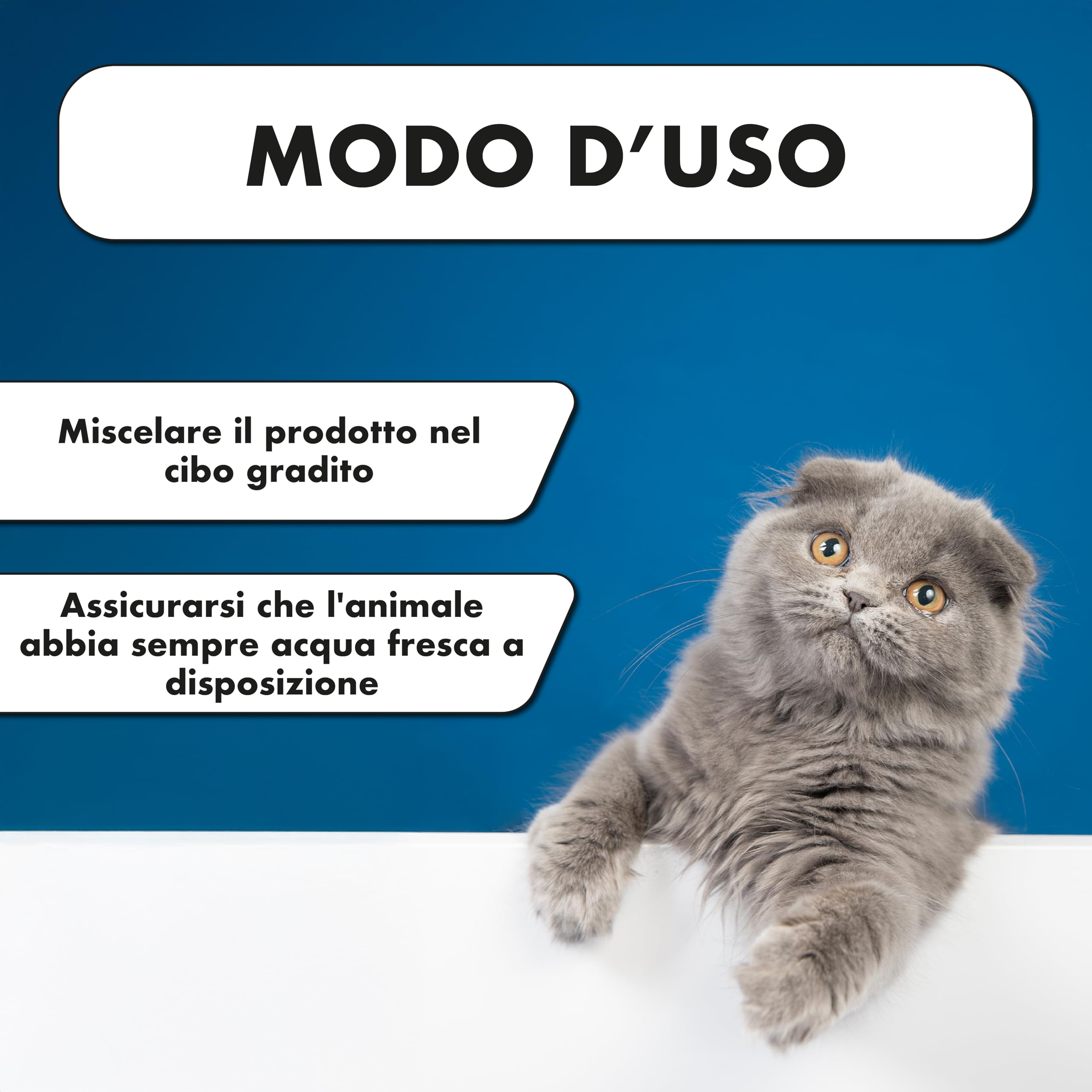 Probiotici per Cani e Gatti – Supporto in caso di Feci Molli e Squilibri Intestinali – Fermenti Lattici Cane – Intestino Sensibile – PHARMACINQUEPET Intestiben 100 g