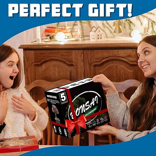 Miniatura 6 de Kit de inicio de bonsái, 5 semillas que crecen en acacia, glicina, sakura, arce rojo y pino negro, incluye herramientas completas de jardinería con