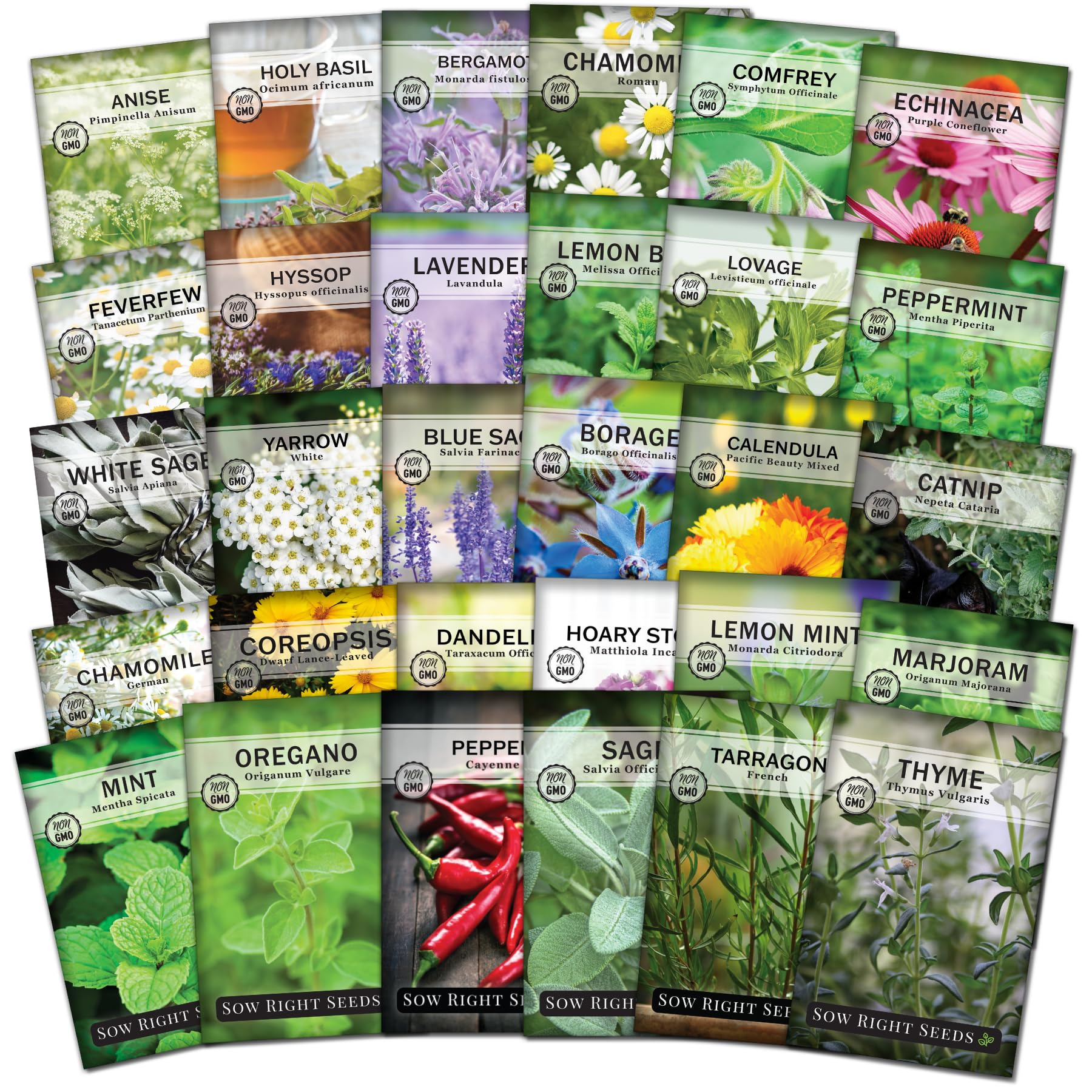 Sow Right Seeds - Extra Large Medicinal Herb Seed Collection for Planting - Lemon Balm, Lavender, Yarrow, Echinacea, Bergamot, Chamomile, Calendula, Mint & More - Non-GMO Heirloom, Home Remedies