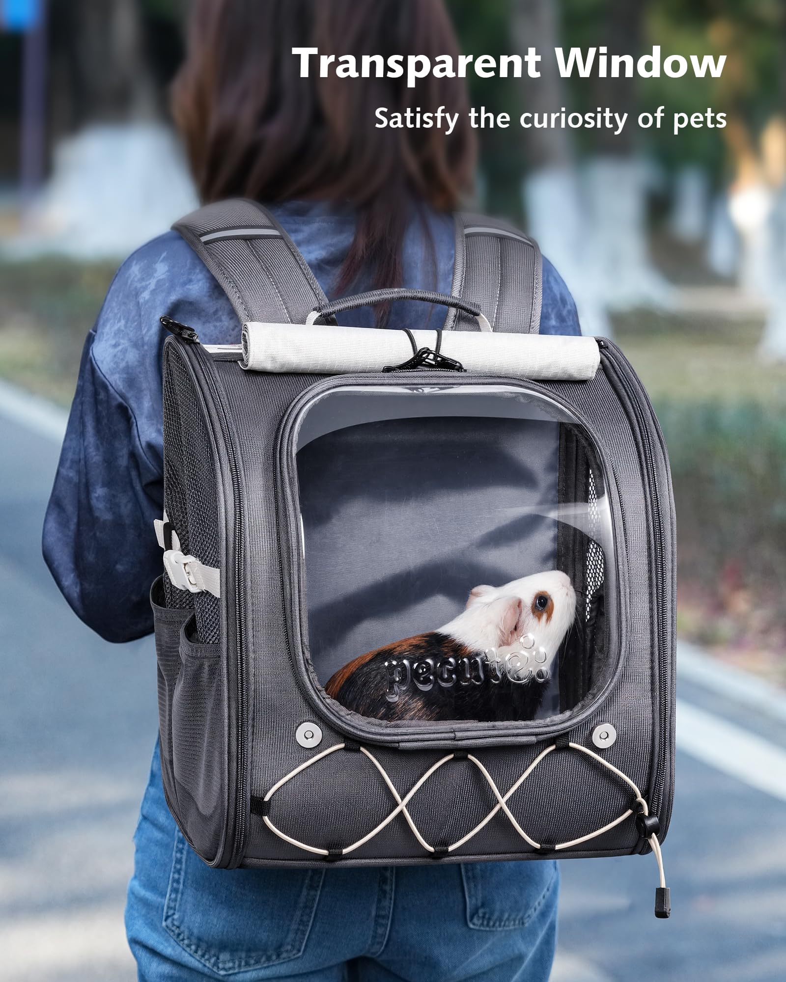 Pecute Zaino per animali domestici di piccola taglia, traspirante, stabile, con bolle, con tende a rullo per protezione solare, zaino per cani per escursioni, passeggiate, viaggi, grigio