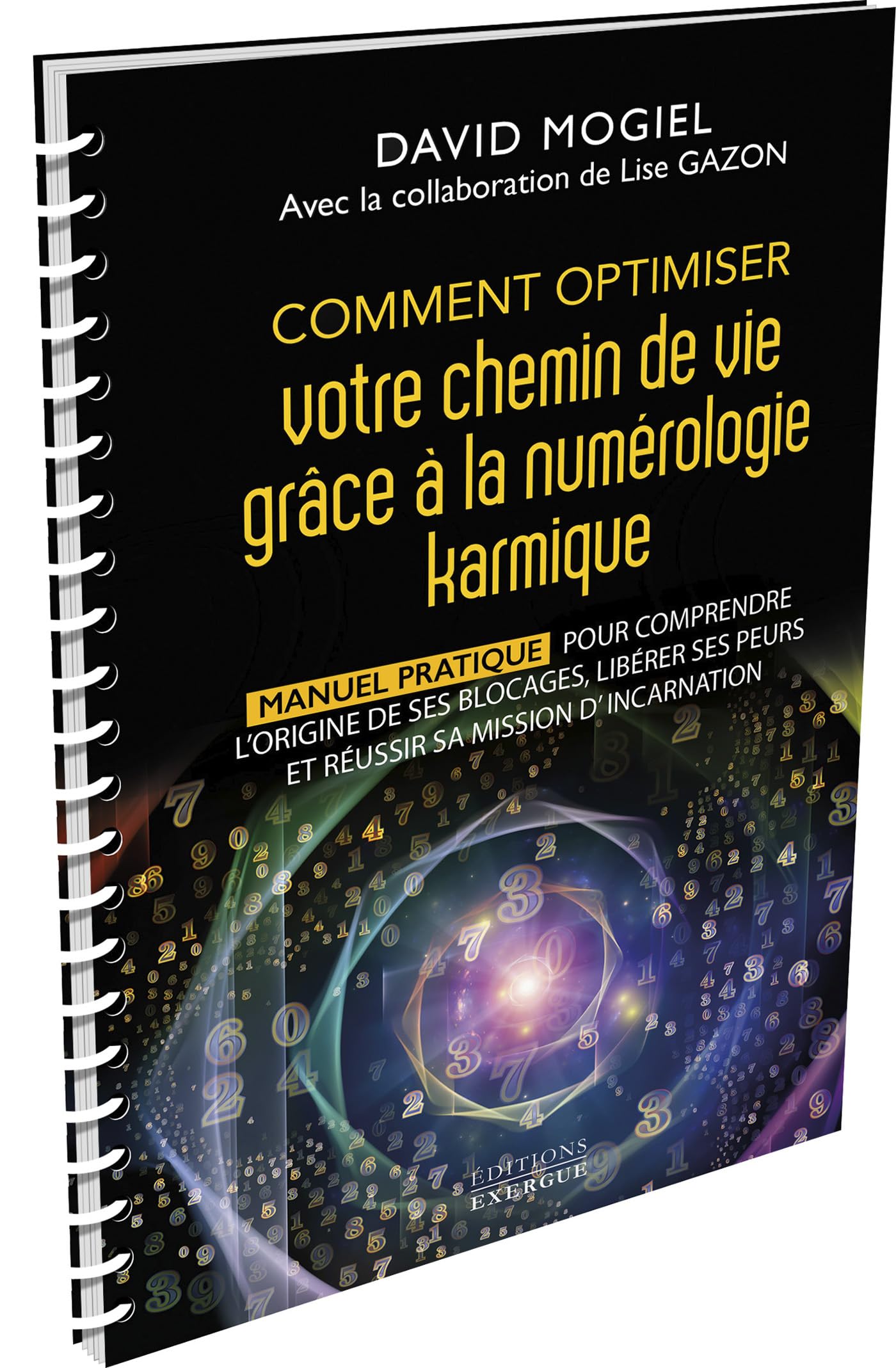 Comment optimiser votre chemin de vie grâce à la numérologie karmique - Manuel pratique pour comprendre l'origine de ses blocages, libérer ses peurs et réussir sa mission d'incarnation