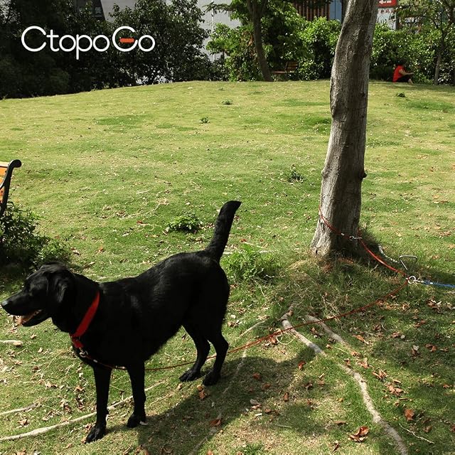 Foto 3 de 8 de CtopoGo Cable de Amarre para Perros de 10 pies/16 pies/33 pies,Cable de Amarre para Mascotas