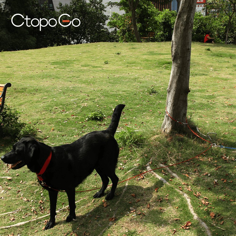 10ft/16ft/33ft Dog Tie out cable, Acciaio inossidabile Pet Dog Tie out cable - Double Head Dog leash campeggio Outdoor tie-out cable for Medium Large Pet Dogs (5m, Rosso)