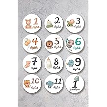 General Shelife Monthly Baby Cards Photo Shoot Colorful Shellbb012369