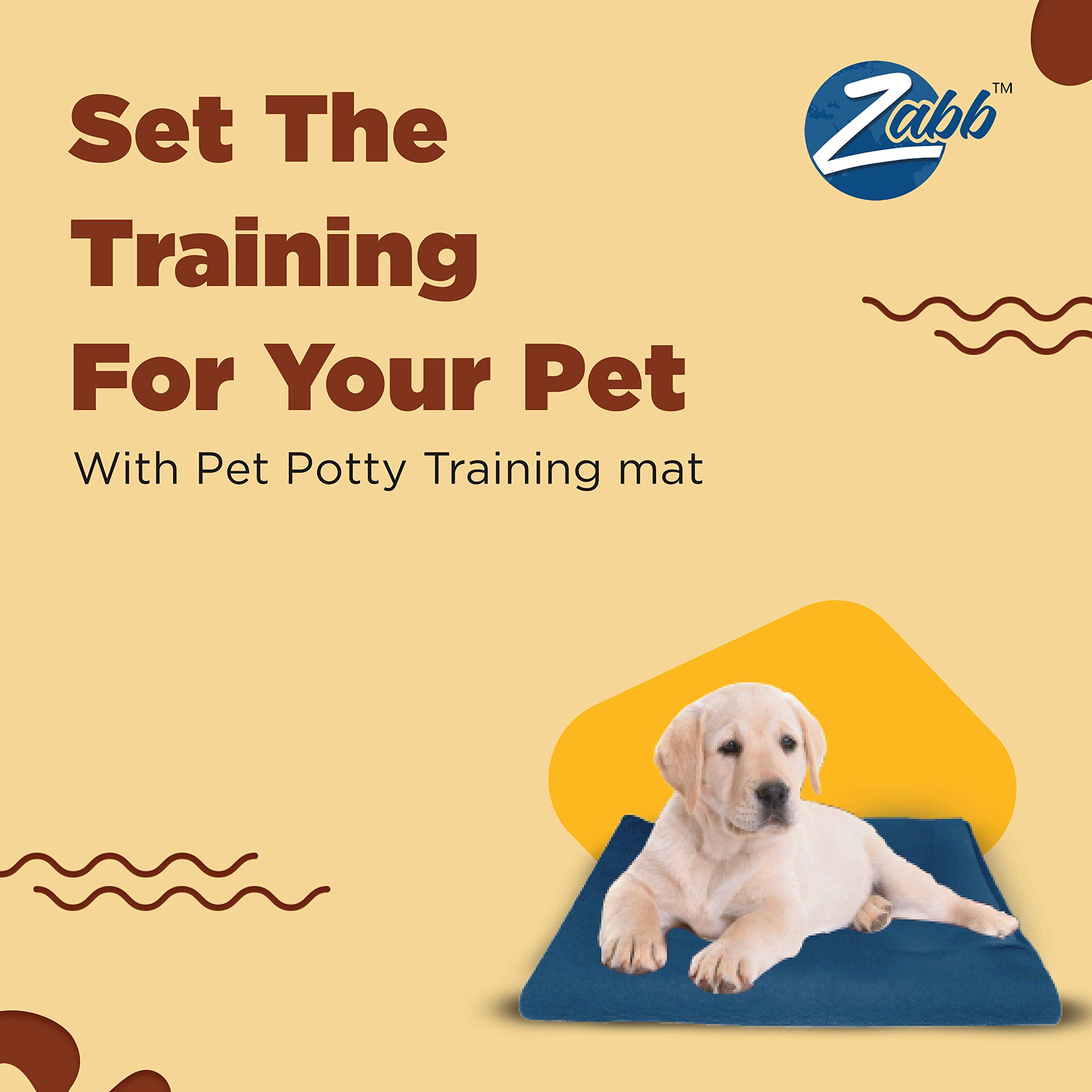 Zabb Washable & Reusable Pet Training Mat 50 X 70 cm (Small, Blue)