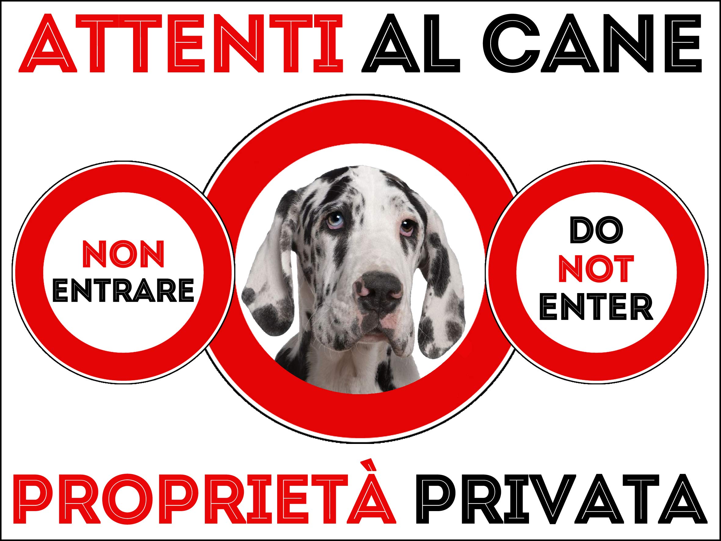 Avvertimento! Alano Arlecchino - Proprietà Protetta E Attenzione