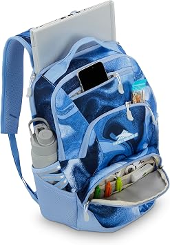 High Sierra Swoop SG Backpack, Travel or Work Laptop Bookbag with Drop Protection Pocket, and Tablet Sleeve, One Size, Blue Marble Swirl