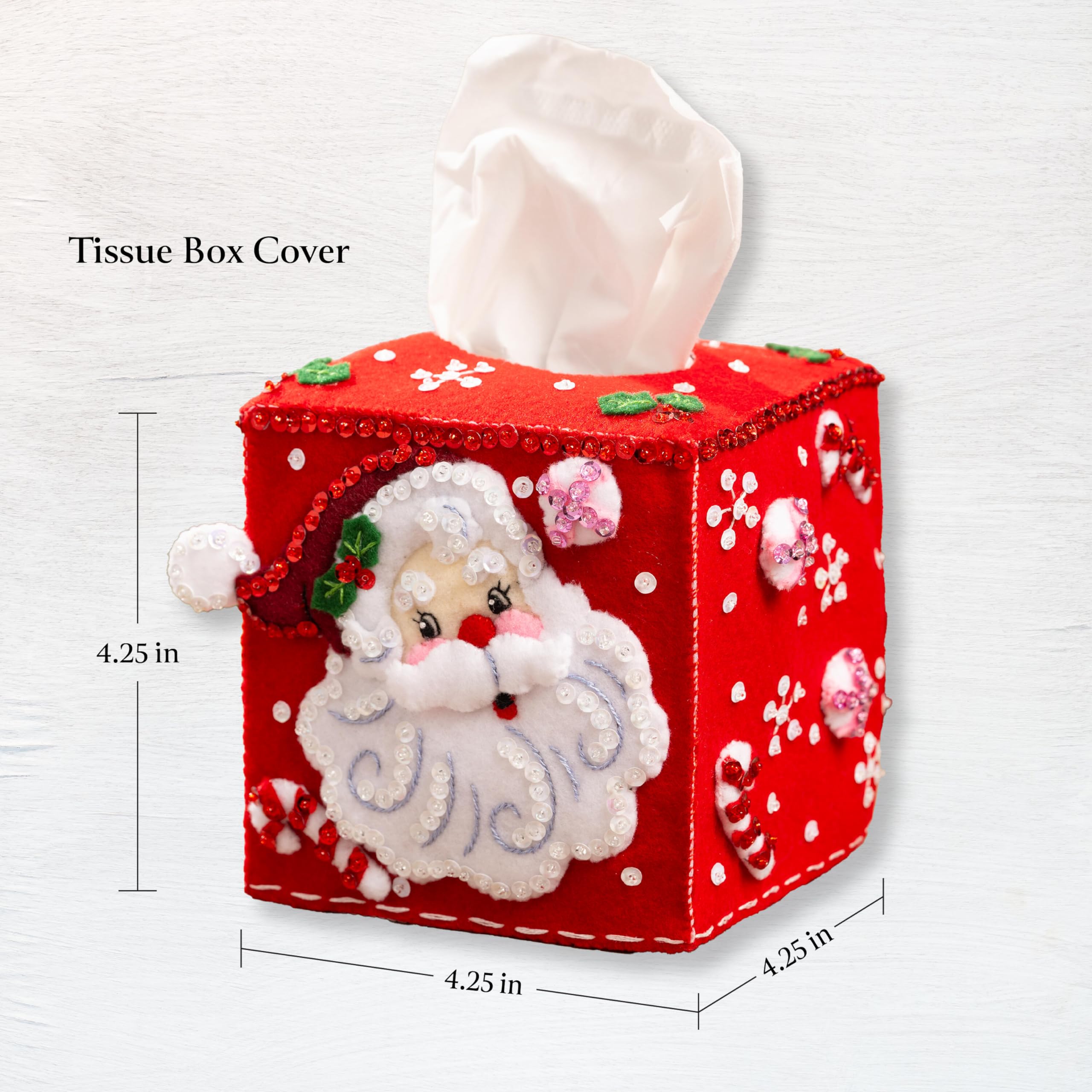 Bucilla Kit de cubierta de caja de pañuelos de fieltro, Jolly St. Nick, perfecto para vacaciones DIY Artes y manualidades, 89678E
