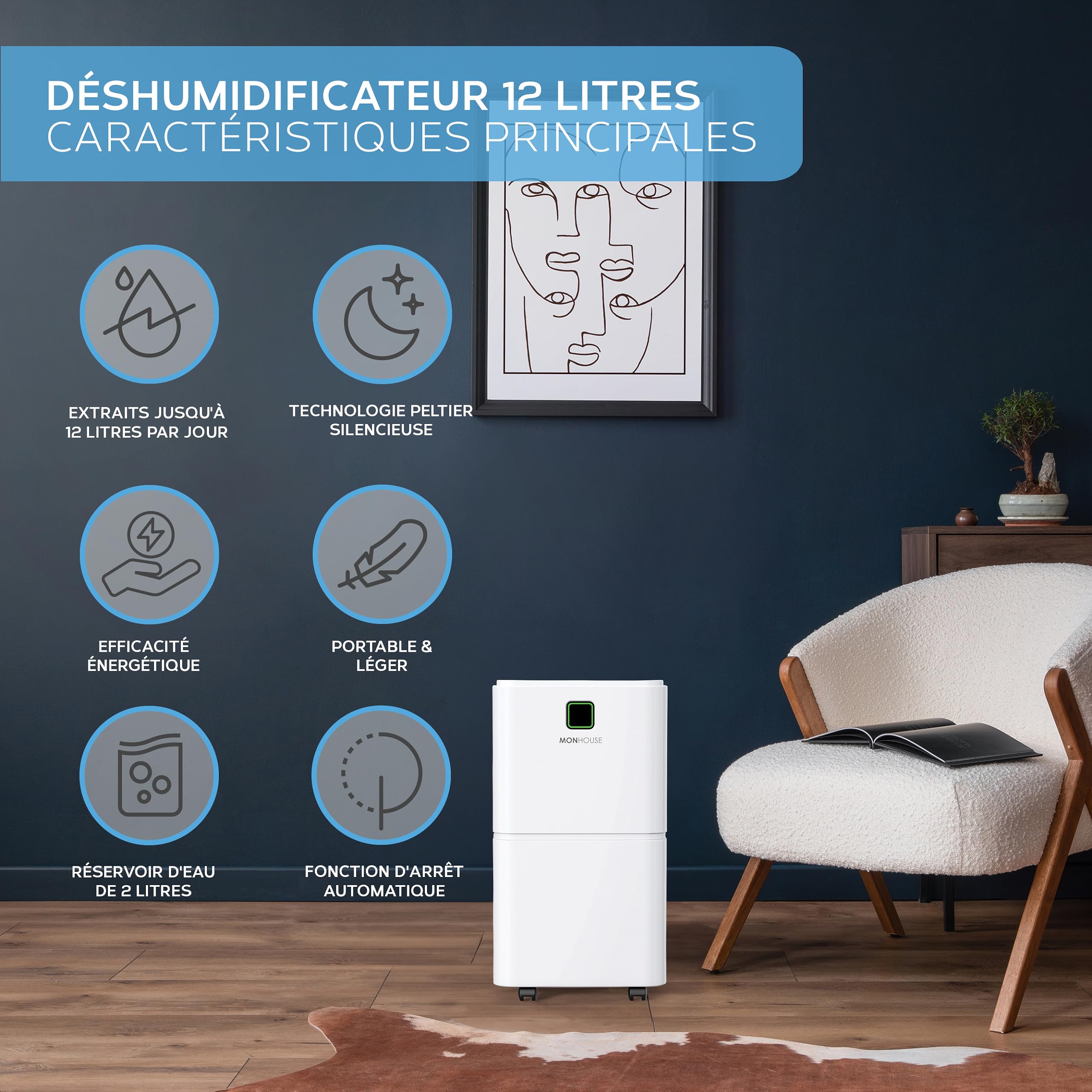 MONHOUSE Deshumidificateur 12 L/Jour - Mode Veille, Minuterie Pour Domicile - Eliminateur De Moisissures Electriques Portables, D Humidite Et De Condensation - Absorbeur D Humidite Silencieux