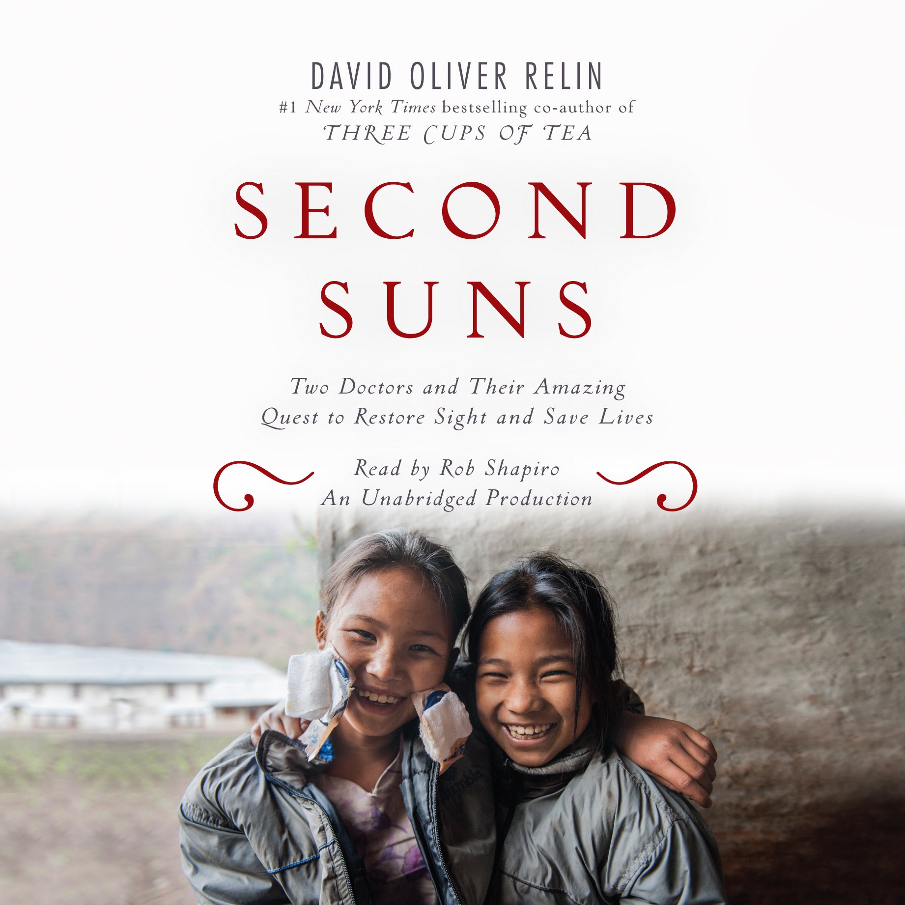 Cover art for Second Suns