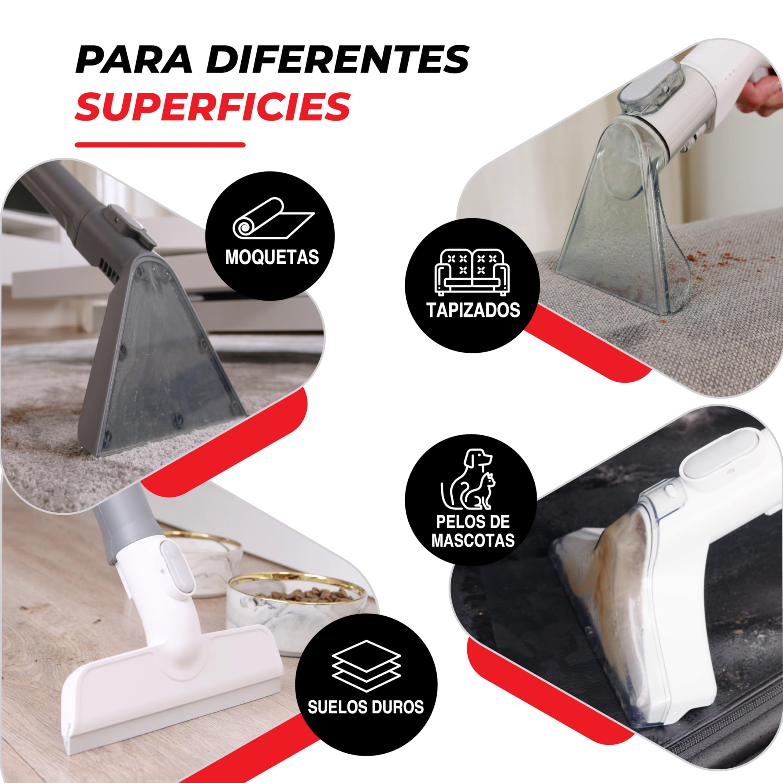 SPOTTY aspiradora de agua tapiceria | Aspiradora con 170mbar de potencia de succión para limpiar alfombras, tapicerías, pelos de mascotas, coches y suelos duros | limpiador de tapicerias [67 db]