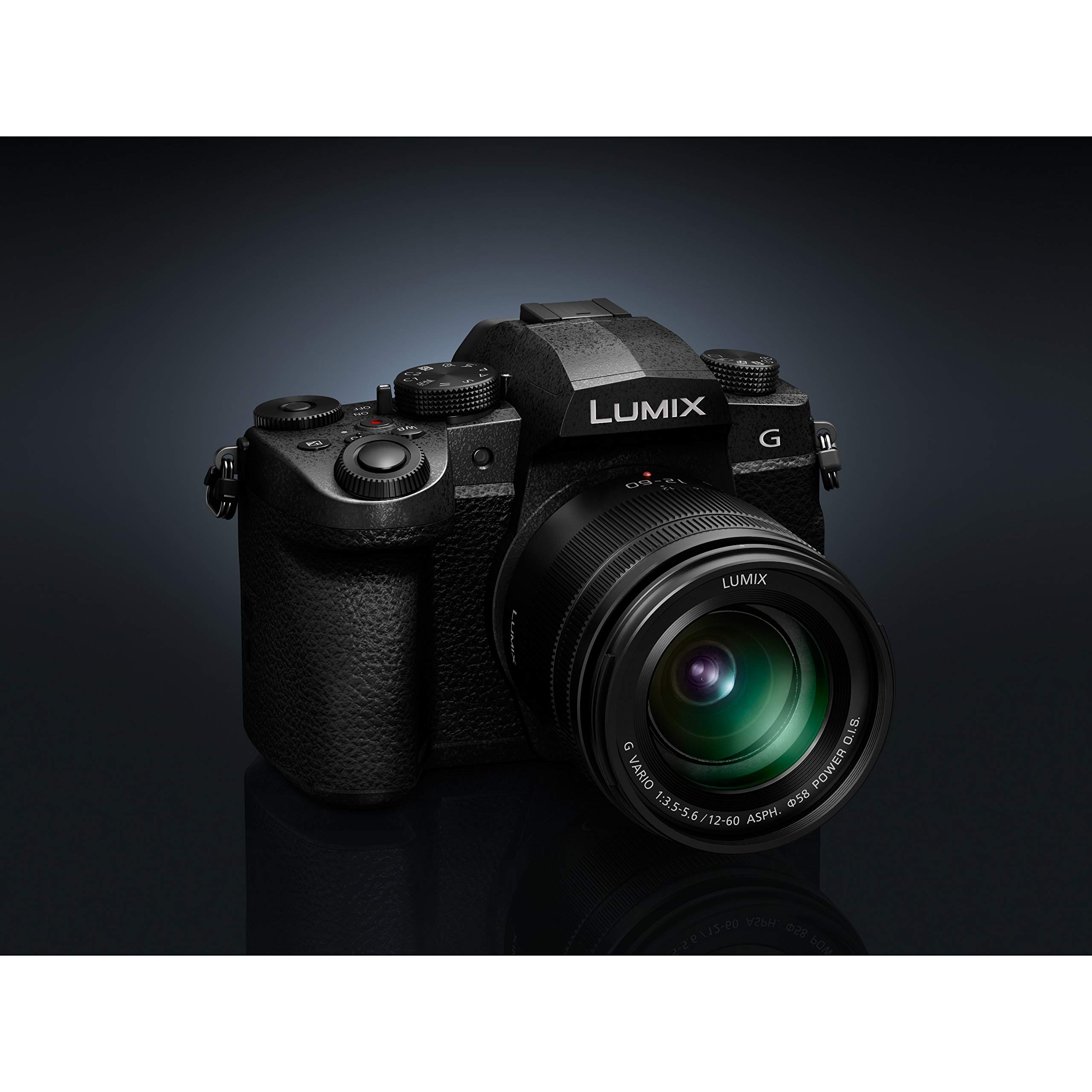 Panasonic H-FS12060E LUMIX G Vario 12-60 mm F3.5-5.6 ASPH 