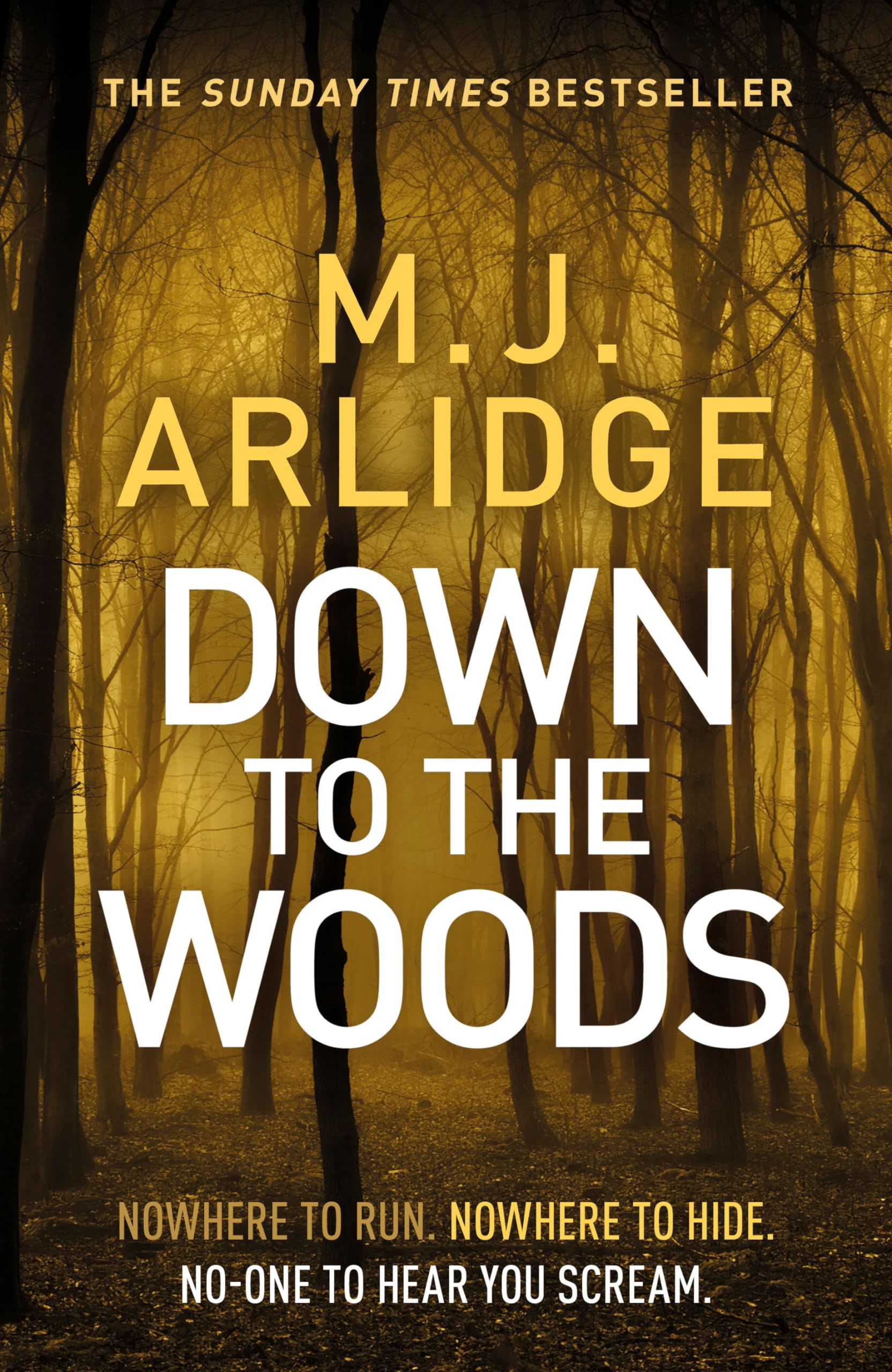 Buy Down to the Woods: DI Helen Grace 8 (Detective Inspector Helen Grace) — BookShops.in