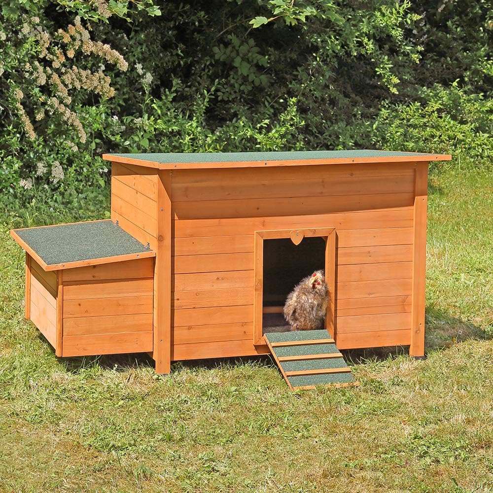 Pollaio per galline ovaiole, in legno, ca. 149 x 80 x 79 cm (L x A x P)