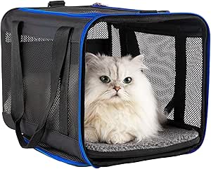 Easy Top Load Soft Pet Carrier Bag Cat for Medium, Large Cats, Puppy, Sturdy, Collapsible, Comfy, Black w/Blue Trim, L