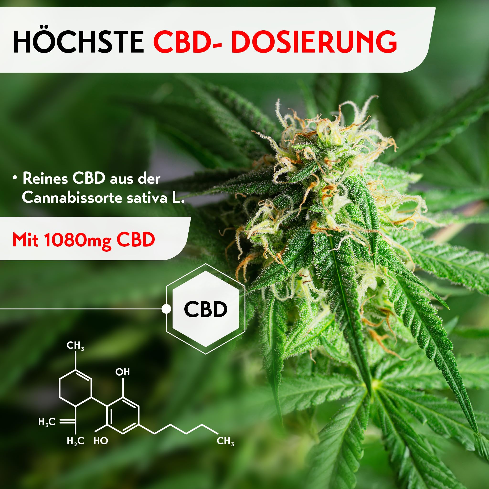 Rubaxx® CBD Gel PLUS [120 ml] - NEUE STARKE Dosierung mit 1080mg CBD - CBD-PLUS-KOMPLEX mit 3-fach-Aktiv-Prinzip - zur Massage von Muskel- und Gelenkregionen wie Beine, Rücken oder Nacken