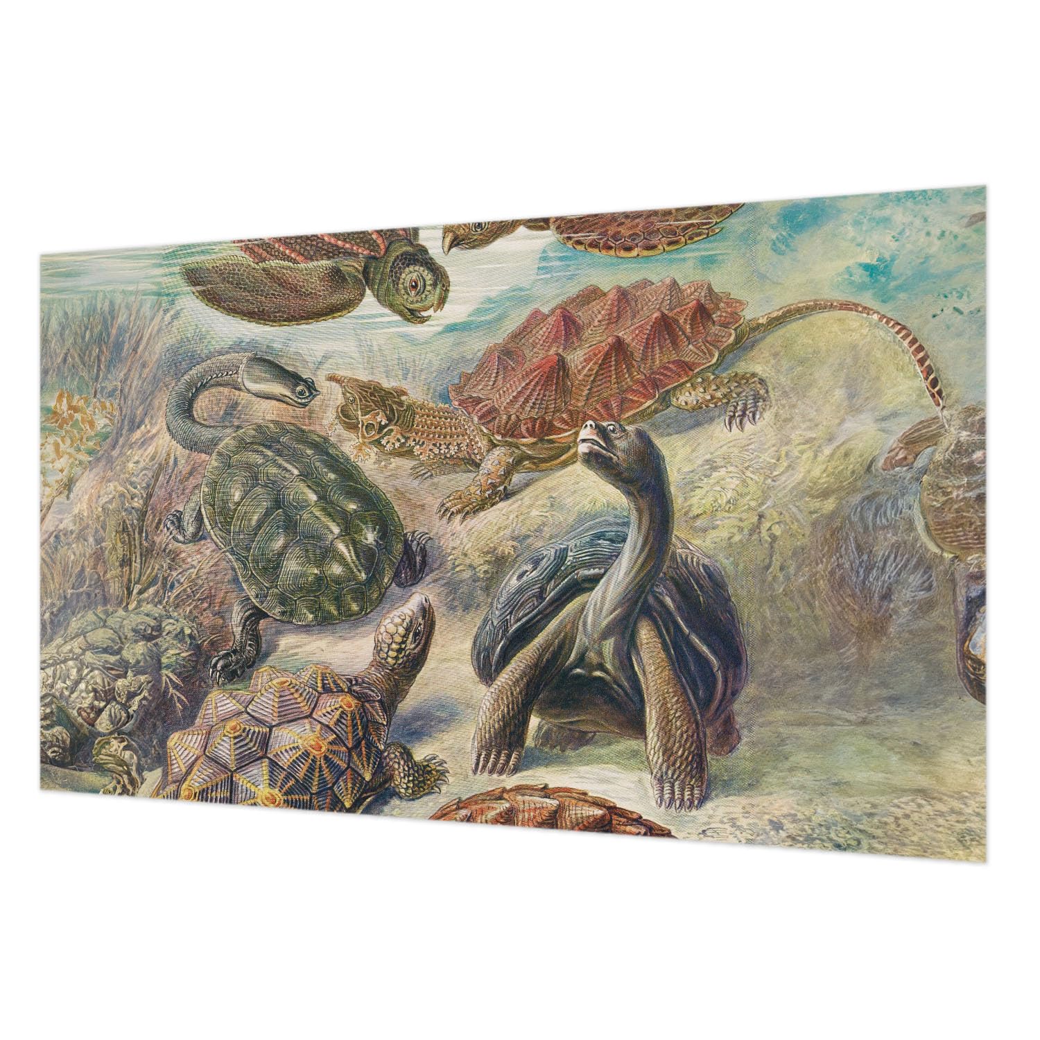 Tapisserie intissée faune des tortues pour créer un salon évasion nature Tulup
