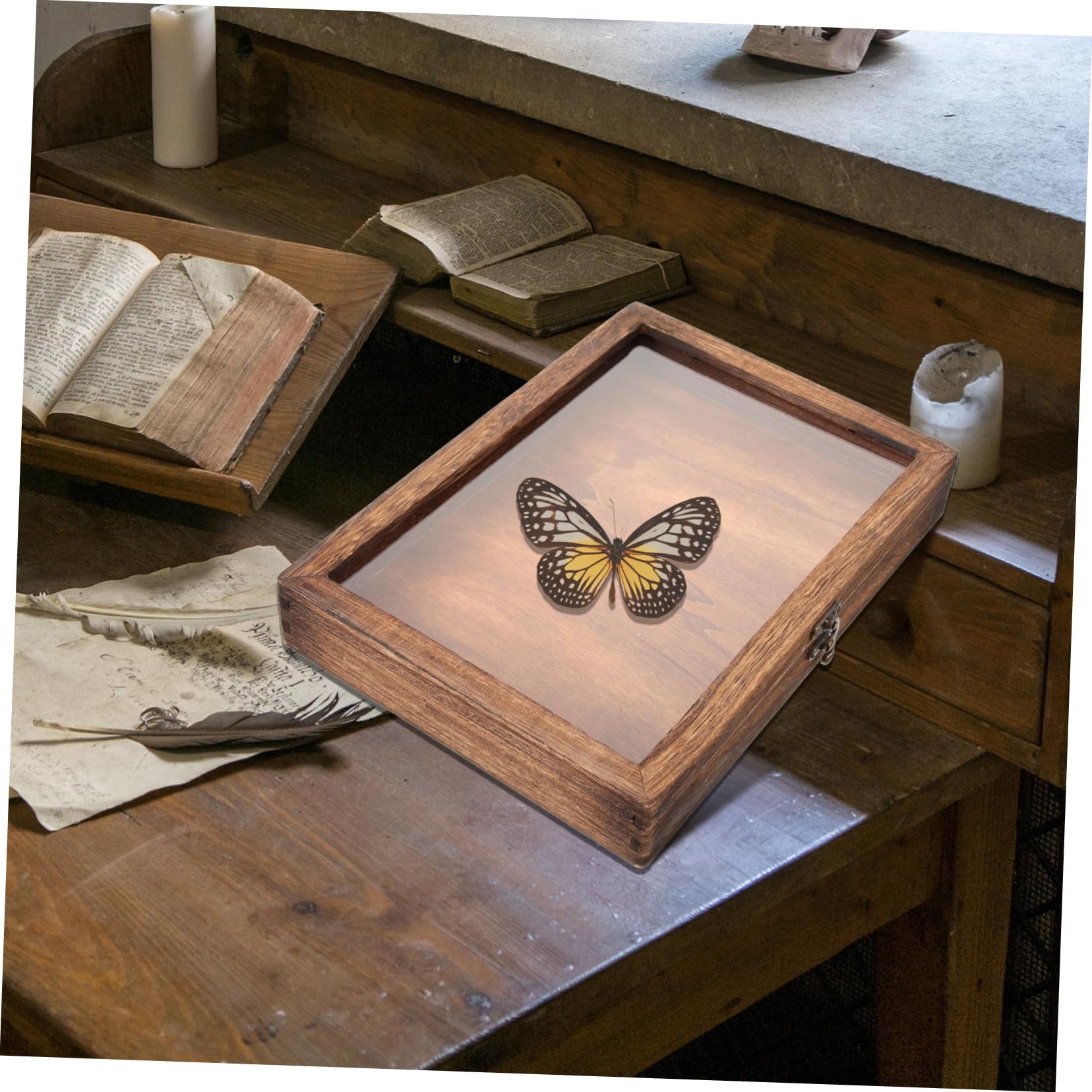 Amazon｜Cabilock 昆虫展示ケース 木製 透明窓付き 32×23×4.5cm 多機能