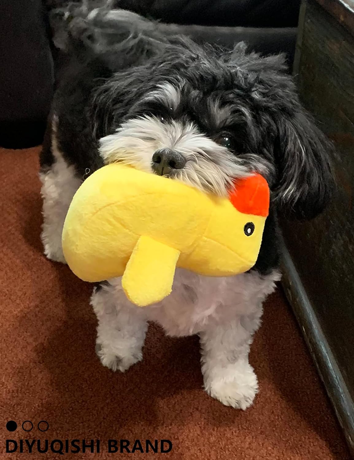 6個パック 子犬 噛む &amp; 歯が生えるおもちゃ 小型犬用 &ndash; 遊び時間&amp;歯が生えるためのきしむ楽しい (子犬のおもち