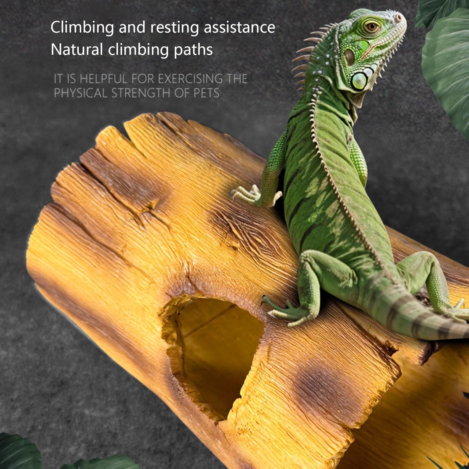 Reptilien-Versteckhöhle aus natürlichem Harz, für Eidechsen, sichere Lebensräume, Dekorationen, Terrarium-Zubehör, leicht zu reinigen, Haustierbedarf, Reptilien-Unterschlupf