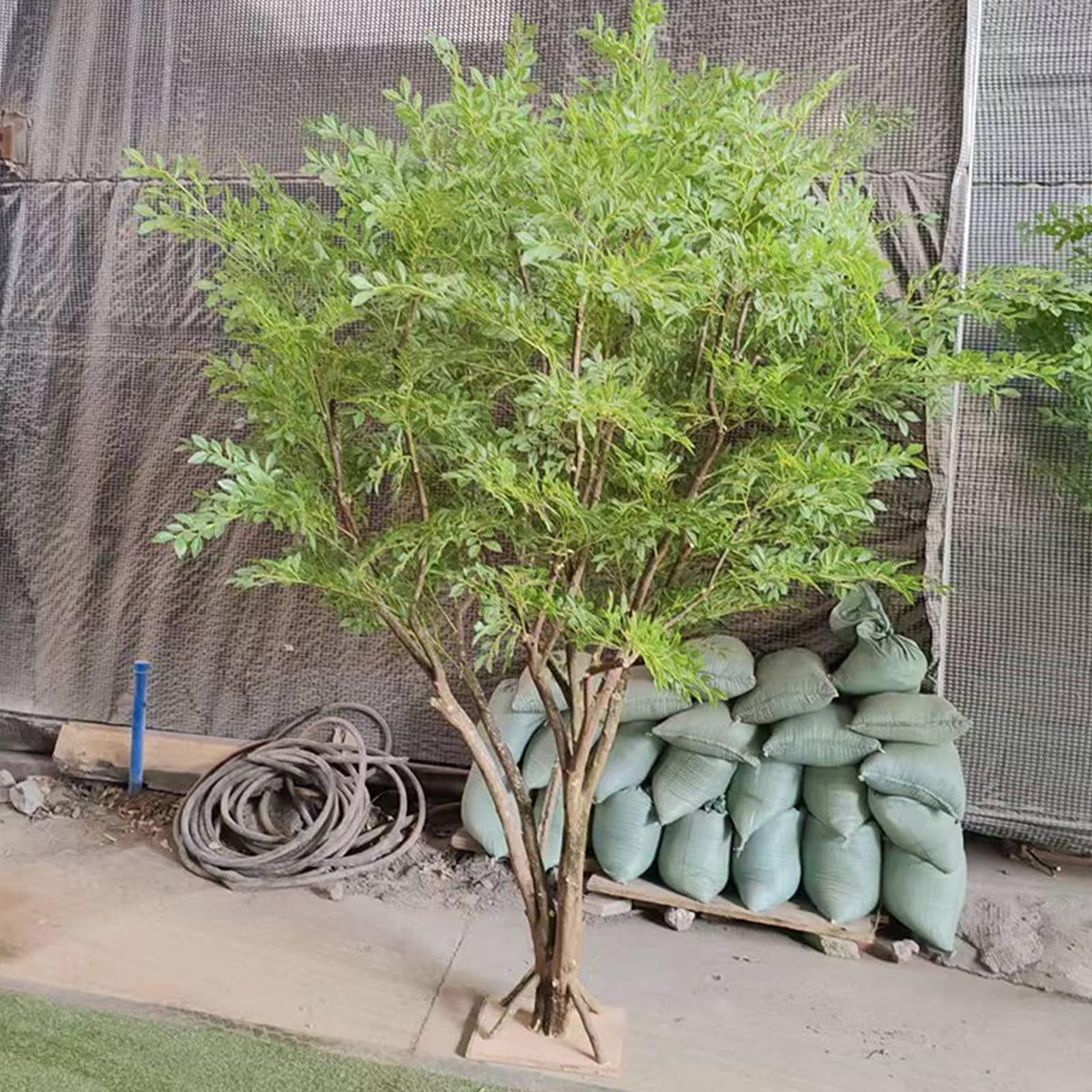 Large Realistic Artificial Tree, Lifelike & Large Simulated Green Plant, for Wedding Event Indoor Outdoor Home Office Living Room(6x6m)